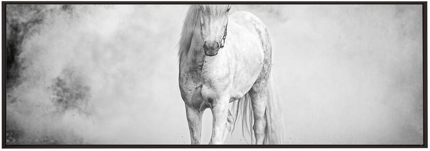 Wall art Icelandic pony
