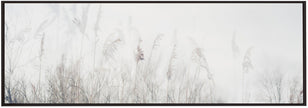 Wall art Landscape of reeds and grass