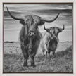 Wall Art Highlands