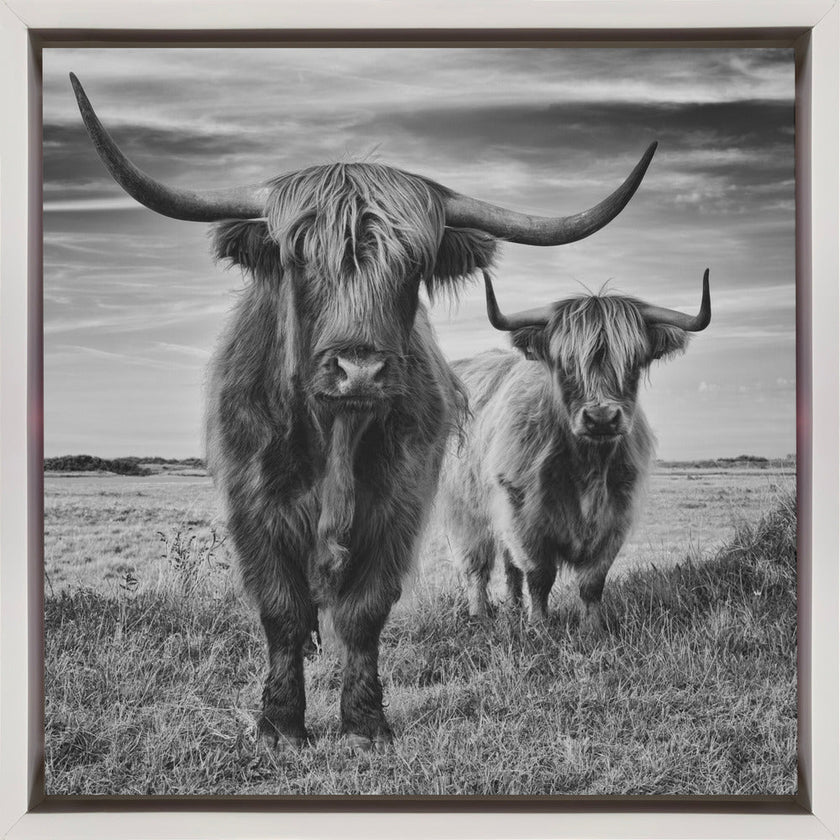 Wall Art Highlands