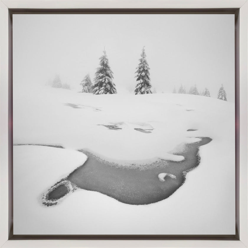 Wall art Frozen swamps