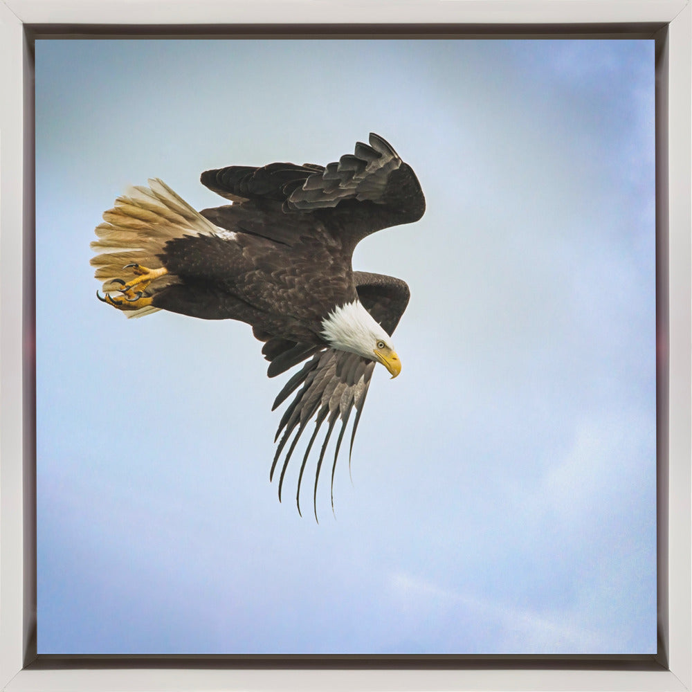 Wall art Taking Flight (Wall art Taking Flight en français)