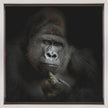 Wall Art ego cogito, ergo sum
