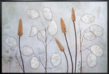 Lunaria