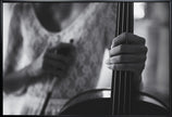 Wall art break for the cello