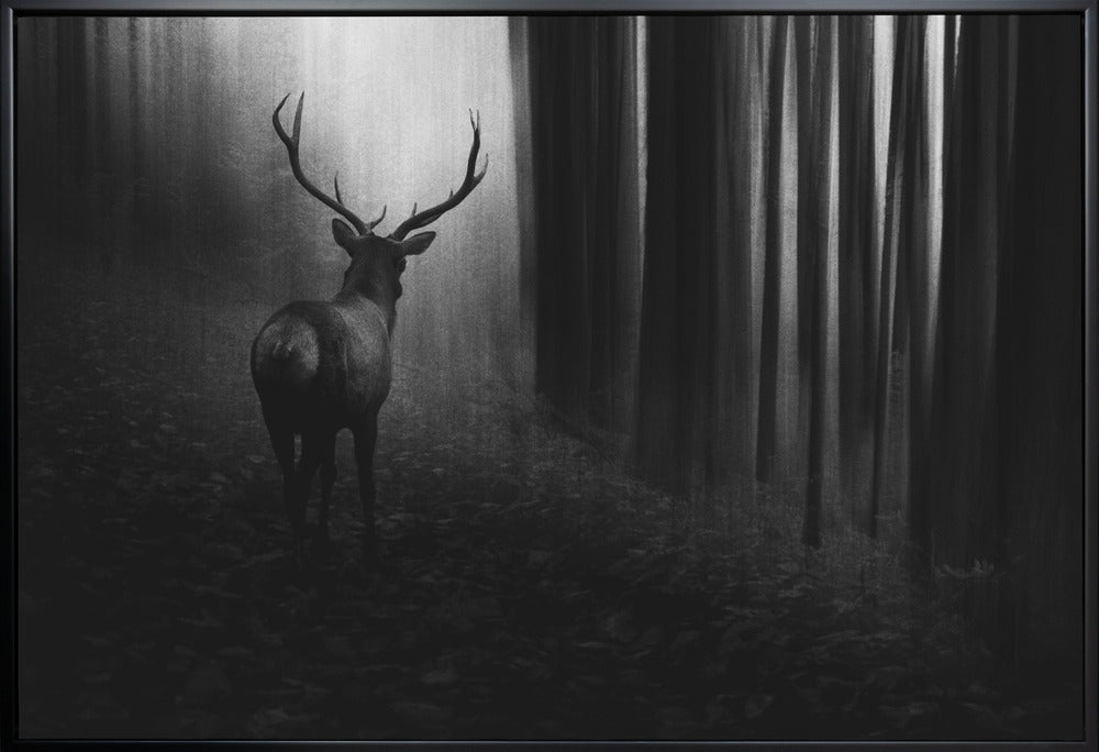Art mural. Cerf.