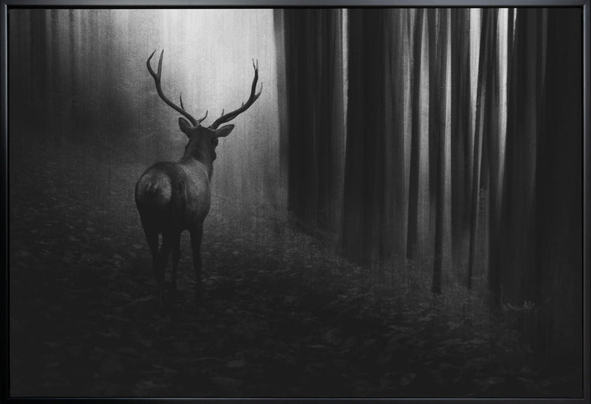 Art mural. Cerf.