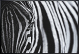 Art mural : Le regard de la nature