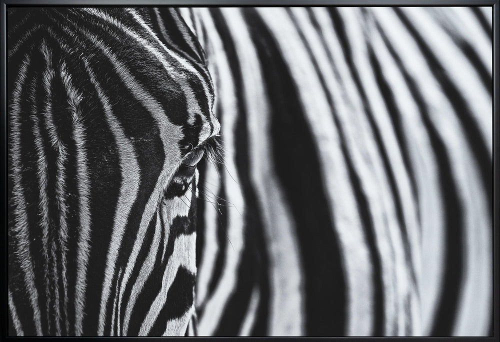 Art mural : Le regard de la nature