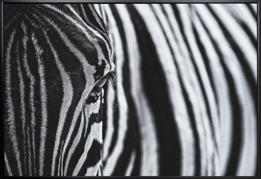 Art mural : Le regard de la nature