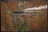Musée de l'art mural du train