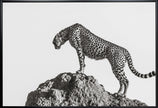Wall Art the hunter