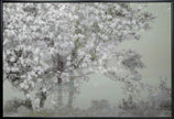 Wall Art Spring