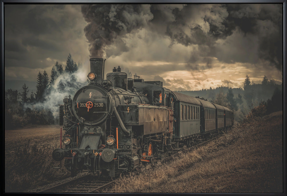 Wall Art Train de l'or (Gold digger train)