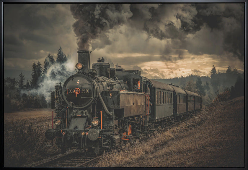 Wall Art Train de l'or (Gold digger train)