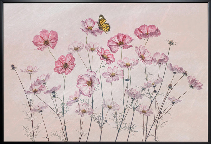 Wall Art Cosmos and Butterfly