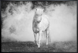 Wall art Icelandic pony