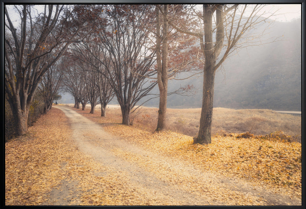 Art mural : En plein automne