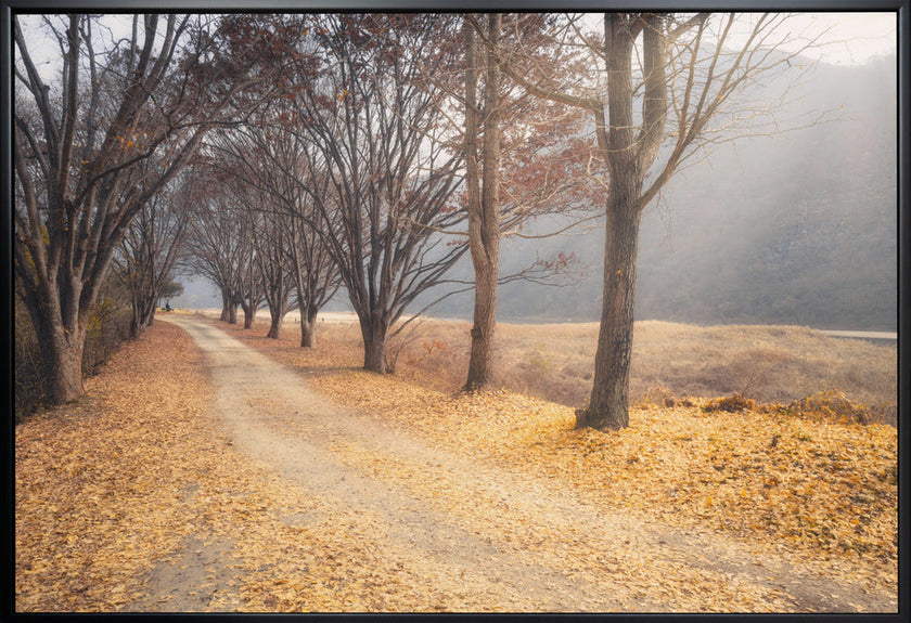 Art mural : En plein automne