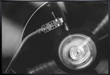 Wall art Vinyl_002