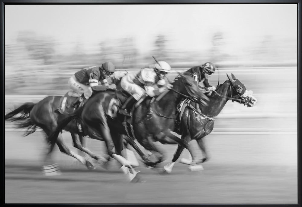 Peinture murale Course de chevaux @ Queen's Plate