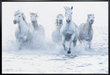 Wall Art Horses on the Run