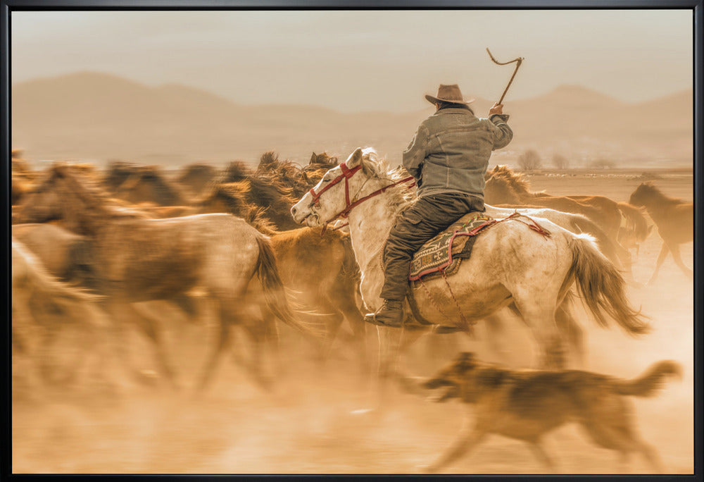 Peinture murale : Chevaux sauvages (aussi appelés Yılkı Atları)