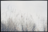 Wall art Landscape of reeds and grass
