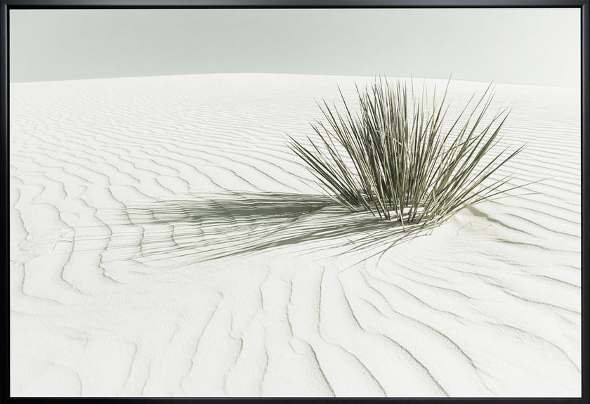 Wall art WHITE SANDS Vintage Dune