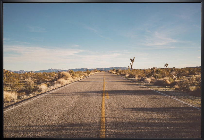 Wall Art Joshua Tree Road