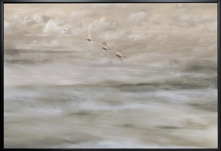 Wall art Swans over sea