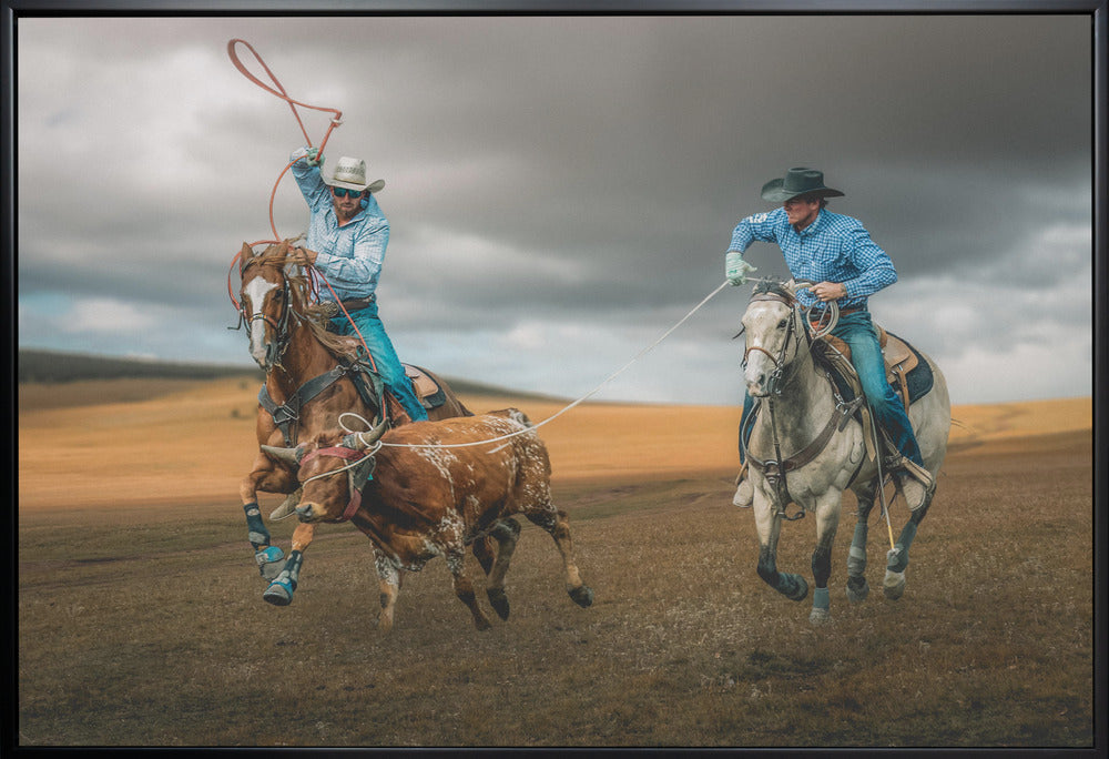 Team Roping (ou lasso de groupe)
