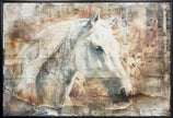 Wall art Horse Animal Vintage Art Illustration Wallart 06