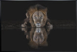 Art mural : Un lion dans la nuit