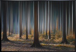 Wall art Mystic Wood