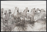 Wall art Illusion of power (13 horse power though)