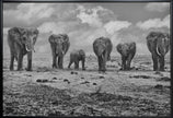 Wall art Big Family. Elephants