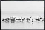 Wall art Flamingos
