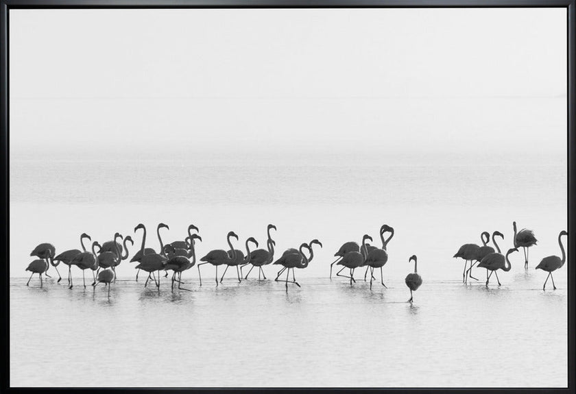 Wall art Flamingos