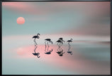 Flamants roses de Wal Art Family.
