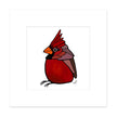 Signed & Matted Print - Cardinal