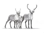 Caribou Family Magnet