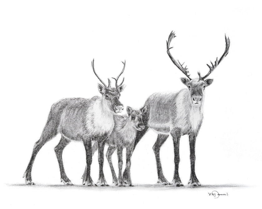 Caribous Family - Woodland Animal Wall Art