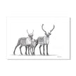 Caribous Family - Woodland Animal Wall Art
