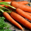 The Winter Harvest Collection