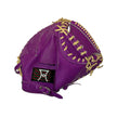 SDGs Glove Catcher's Mitt Right Handed