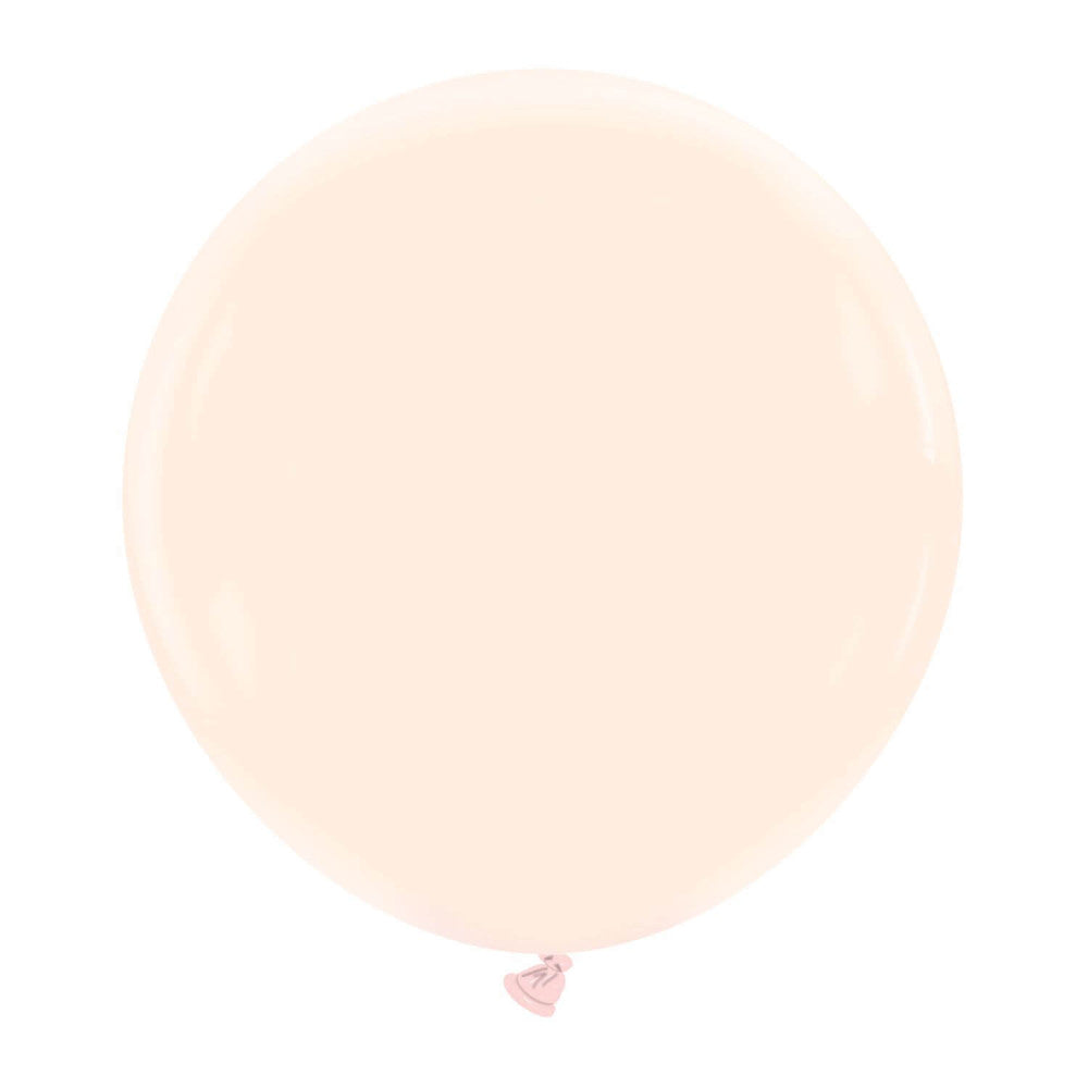 Cattex 24