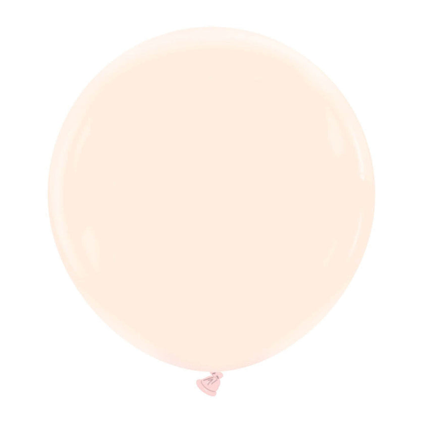 Cattex 24