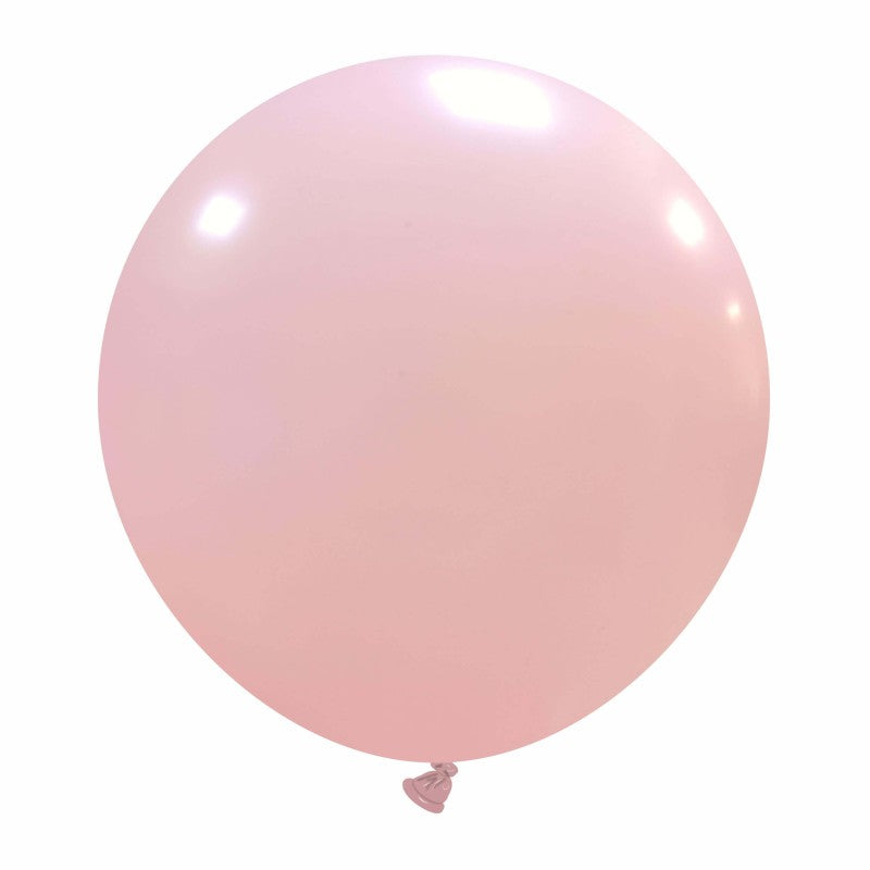 Cattex 19