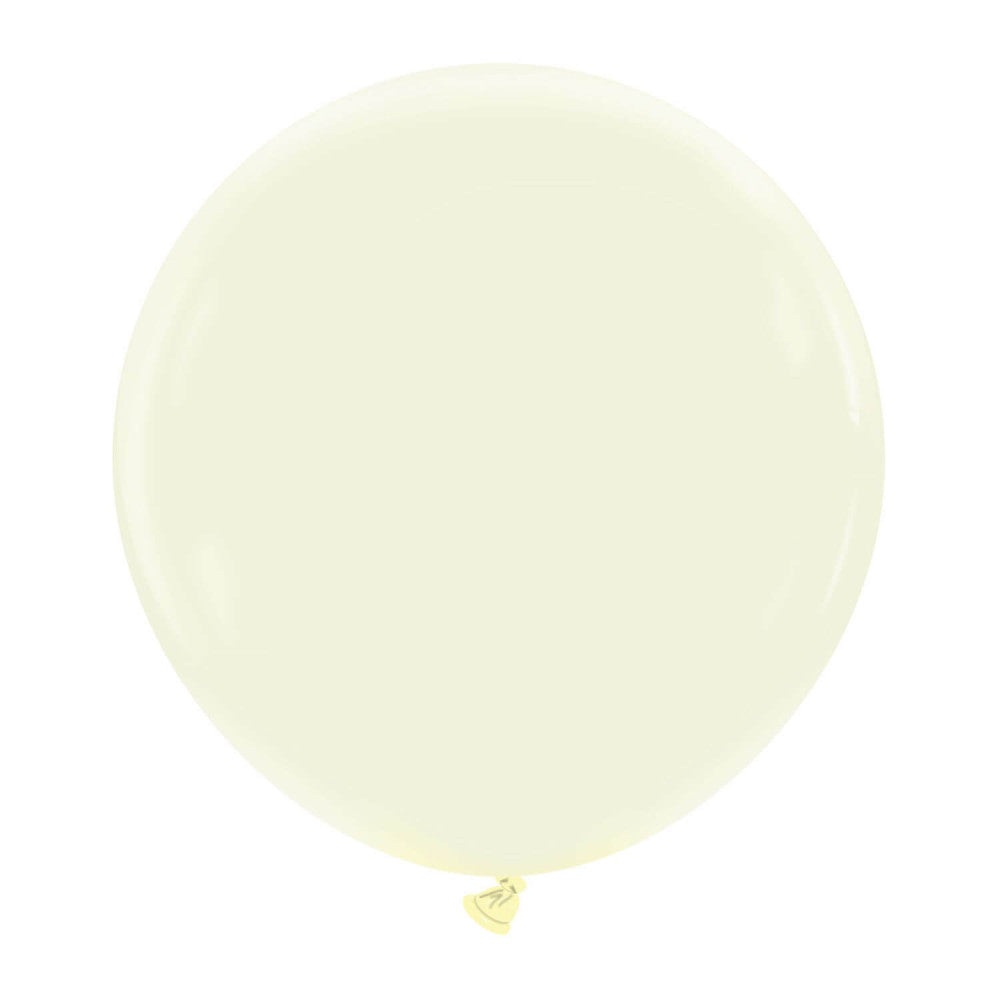 Cattex 24